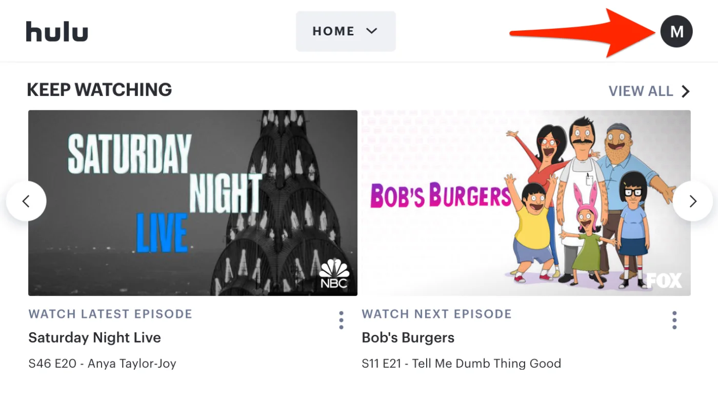 Hulu%20-%20Profile_15205