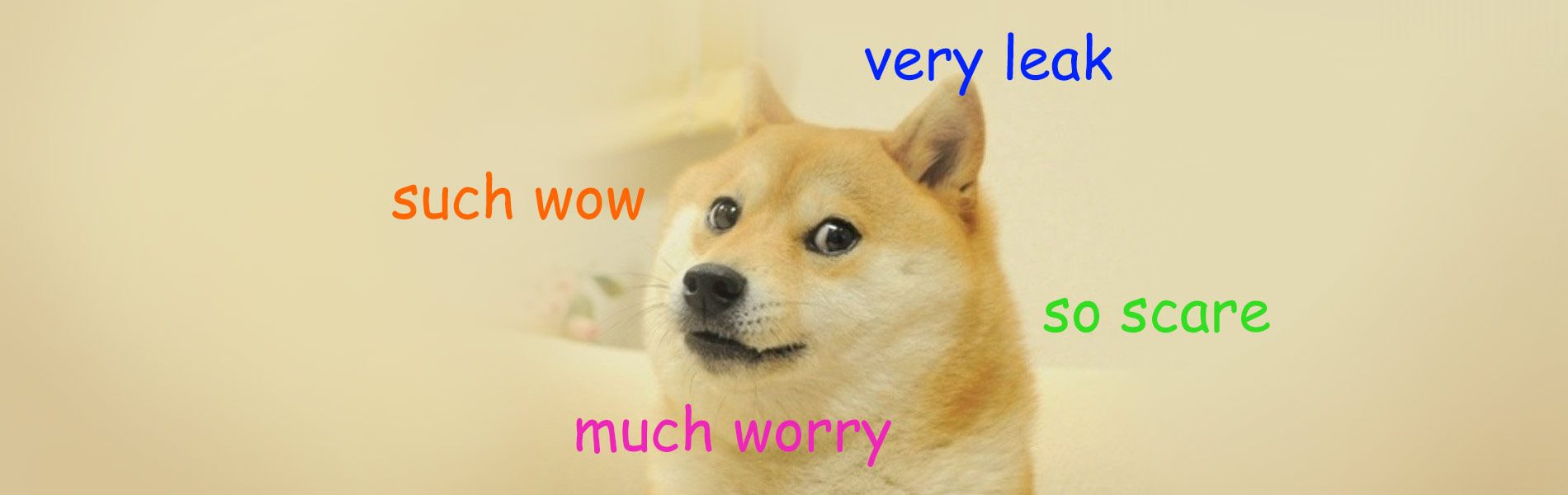 Learn how to avoid DNS Leaks, WebRTC and IPv6 leaks